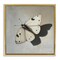 Stupell Industries Velvet's Butterfly Wings Floating Frame, design by Svetlana Aleynikova